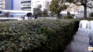 a无码专区一区
